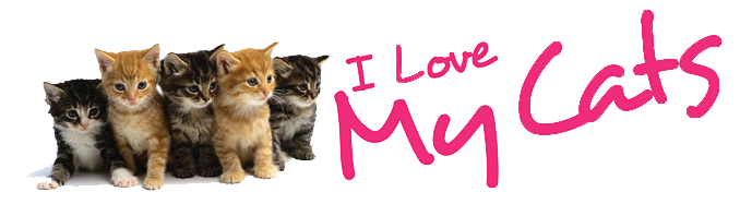 Banner I Love My Cats
