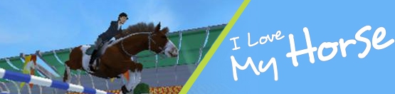 Banner I Love My Horse