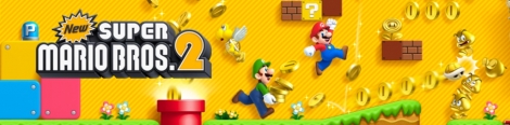 Banner New Super Mario Bros 2
