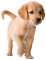 Images for Puppies World 3D