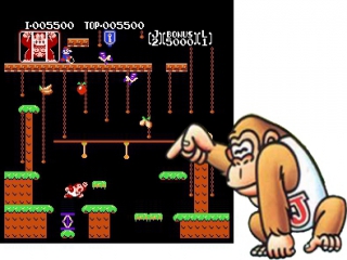 Help Donkey Kong Jr. zijn vader te redden!